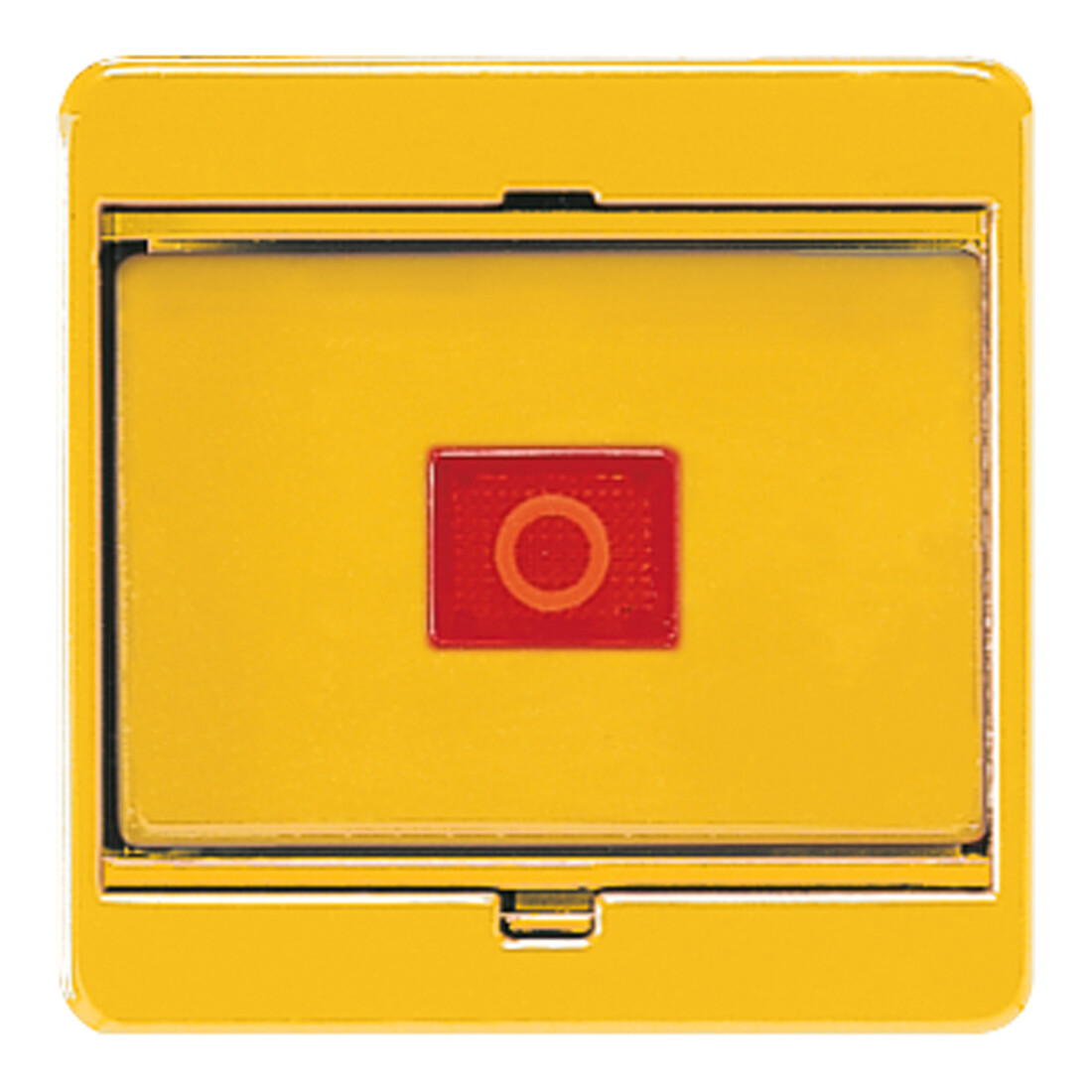 Jung Plaque de protection en verre pour interrupteur/poussoir 561 GL