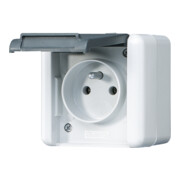 Jung Prise 16A 250V 2 pôles avec terre 821 FKIW-1