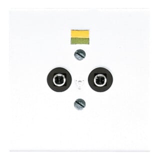 Jung Prise d’équilibrage de potentiel 2 broches LS 965-2 WW