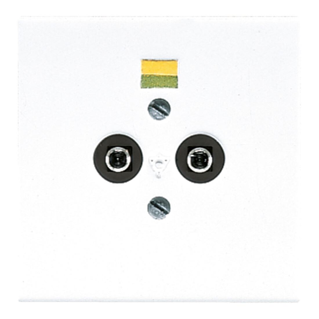 Jung Prise d’équilibrage de potentiel 2 broches LS 965-2 WW