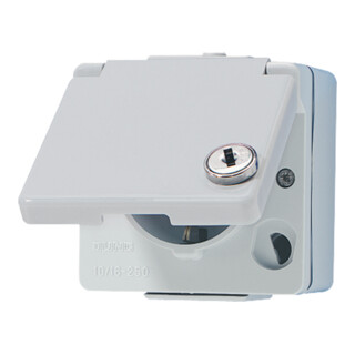 Jung Prise SCHUKO 16A 250V 620 WSL