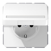 Jung Prise SCHUKO 16A 250V avec couvercle rabattable CD 1520 BFNAKL WW-1