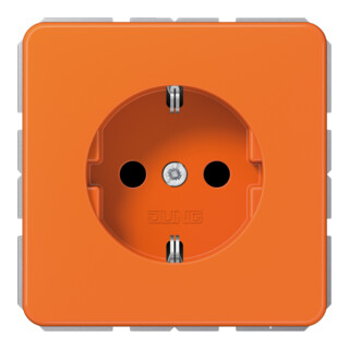 Jung Prise SCHUKO 16A 250V incassable CD 1520 BF O