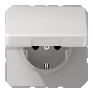 Jung Prise SCHUKO gris clair CD 1520 BFKL LG