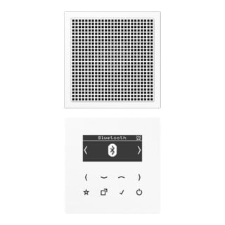 Jung Radio numérique DAB+ Smart Bluetooth SetMono1LS DAB LS1 BT WW