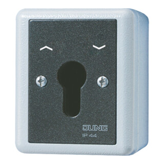 Jung Schlüsselschalter 10AX 250V 2-pol. 804.28 G