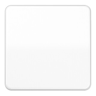 Jung Steuertaste Standard CD 1700 WW