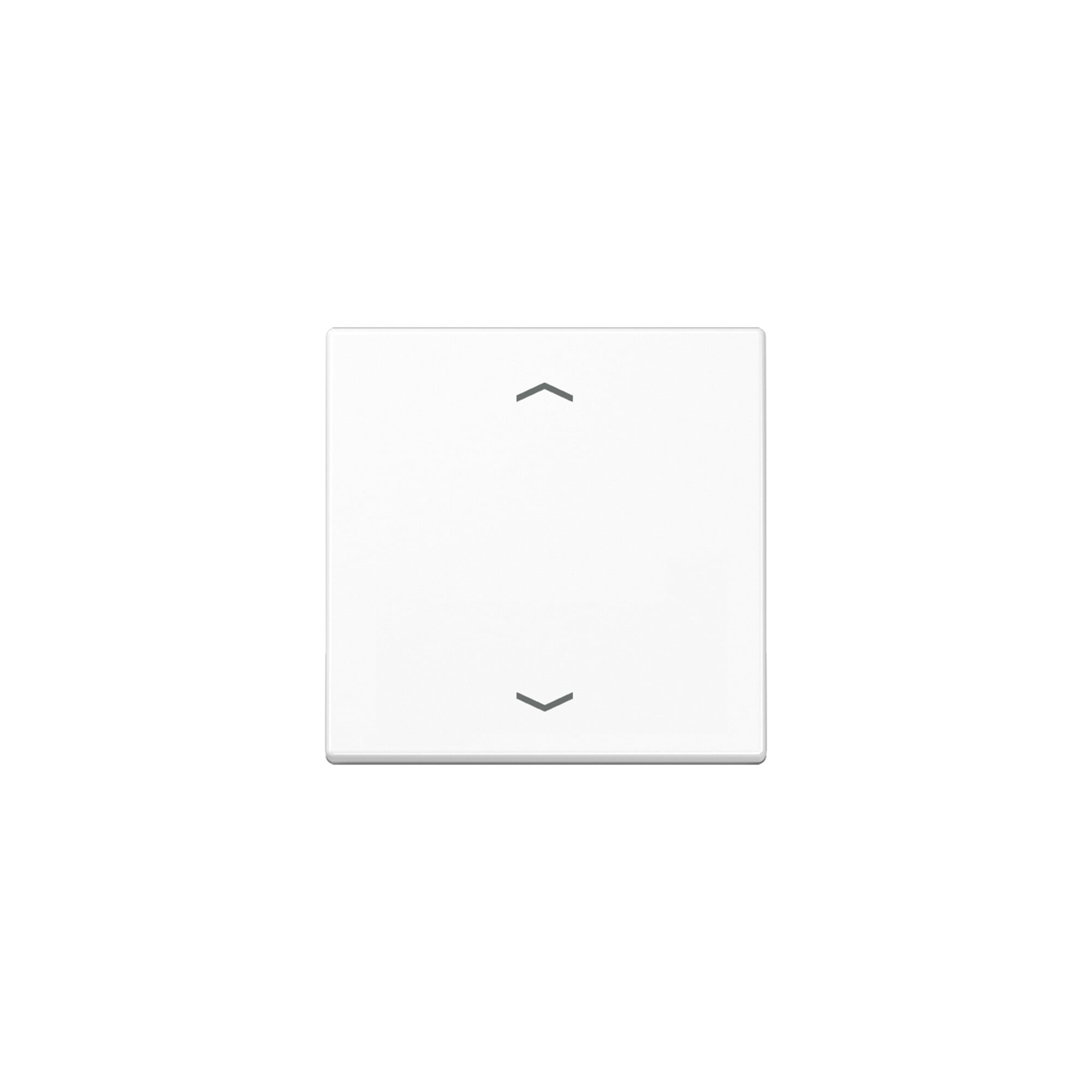 Jung Steuertaste Standard Symbole Pfeile A 1700 P WW