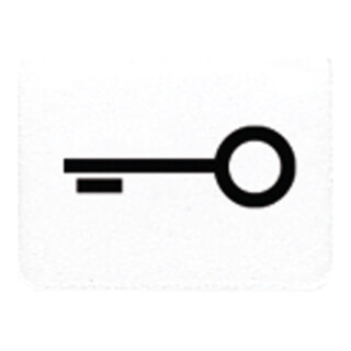 Jung Symbol aws Porte TÜR 33 T WW