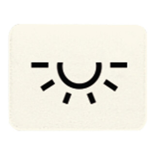 Jung Symbol ws LICHT 33 L