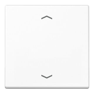 Jung Symbole de bascule aws pour bouton-poussoir A 590 P WW