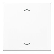 Jung Symbole de bascule aws pour bouton-poussoir A 590 P WW-1