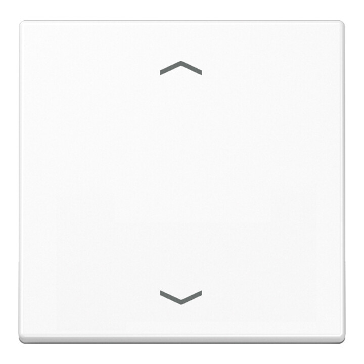 Jung Symbole de bascule aws pour bouton-poussoir A 590 P WW