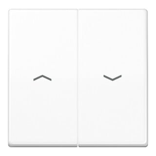 Jung Symbole de bascule aws pour bouton-poussoir AS 591-5 P WW