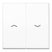 Jung Symbole de bascule aws pour bouton-poussoir AS 591-5 P WW-1