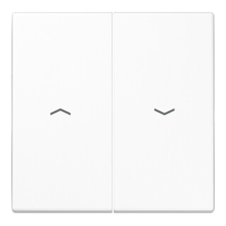 Jung Symbole de bascule aws pour bouton-poussoir LS 995 P WW