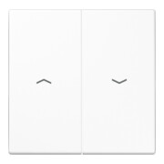 Jung Symbole de bascule aws pour bouton-poussoir LS 995 P WW-1