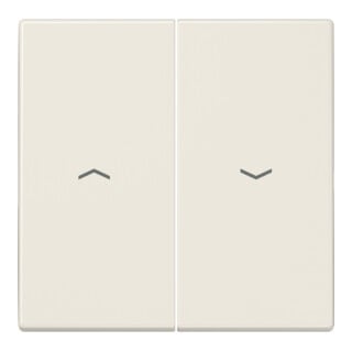 Jung Symbole de bascule ws pour bouton-poussoir LS 995 P
