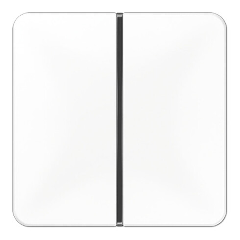Jung Tastensatz 1-fach aws komplett CD 401 TSA WW