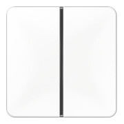 Jung Tastensatz 1-fach aws komplett CD 401 TSA WW