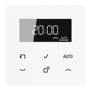 Jung Timer Standard, affichage, façade verre véritable CD 1750 D WW