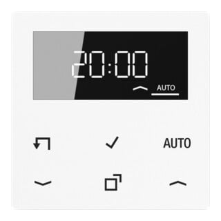 Jung Timer Standard, Affichage verre véritable A 1750 D WW