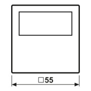 Jung Timer Standard, Display Echtglasfront A 1750 D WW-4
