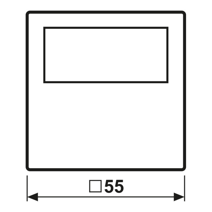 Jung Timer Standard, Display Echtglasfront A 1750 D WW