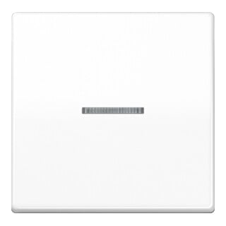 Jung Wippe à fibre optique aws pour interrupteur/poussoir AS 591 KO5 BF WW