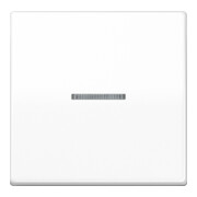 Jung Wippe à fibre optique aws pour interrupteur/poussoir AS 591 KO5 BF WW-1