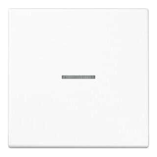 Jung Wippe à fibre optique aws pour interrupteur/poussoir LS 990 KO5 WW