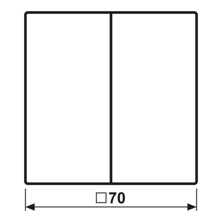 Jung Wippe anth für Taster AL 2995 AN