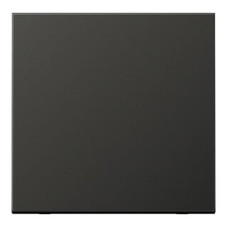 Jung Wippe anthracite pour bouton-poussoir AL 2990 AN