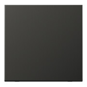 Jung Wippe anthracite pour bouton-poussoir AL 2990 AN-1