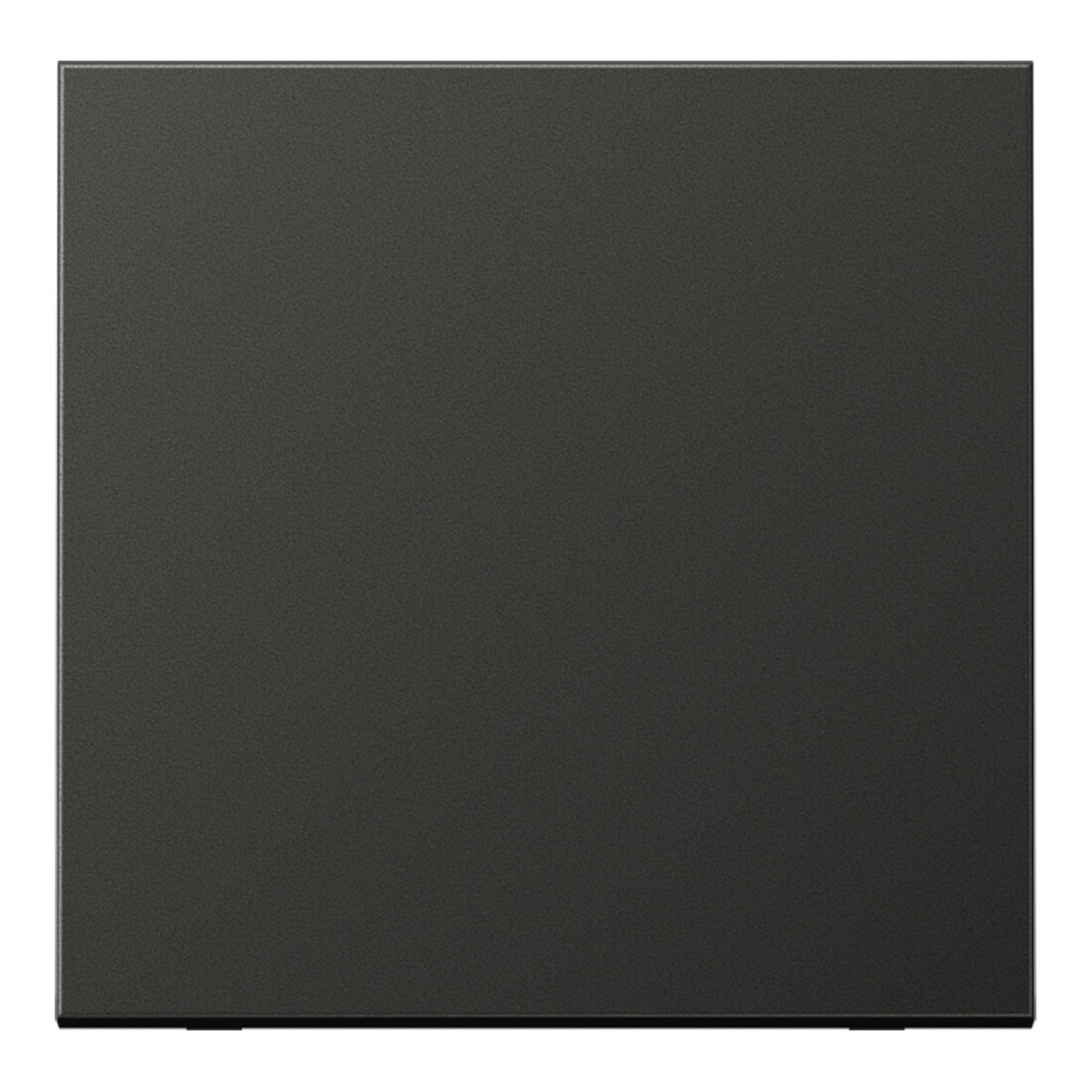 Jung Wippe anthracite pour bouton-poussoir AL 2990 AN