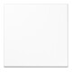 Jung Wippe aws für Taster LS 990 WW
