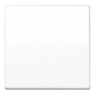 Jung Wippe aws pour bouton-poussoir AS 591 WW
