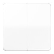 Jung Wippe aws pour bouton-poussoir CD 595 WW-1