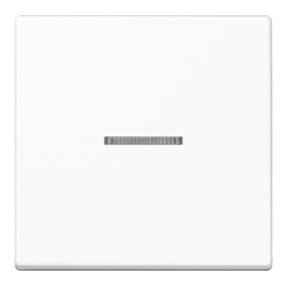 Jung Wippe aws pour interrupteur de contrôle A 590 KO5 WW