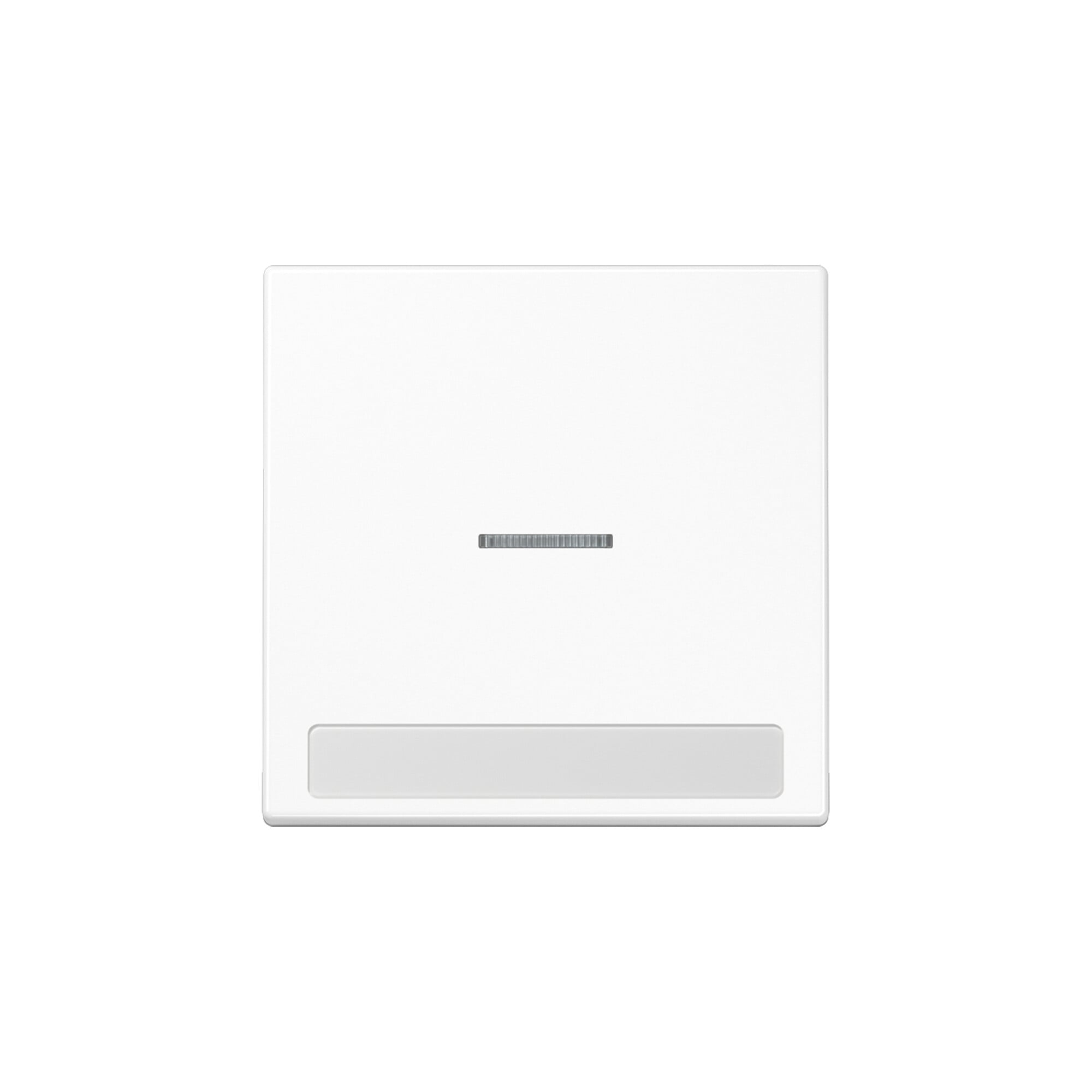 Jung Wippe Licht./Schriftf.aws für Schalter/Taster LS 990 NAKO5 WW