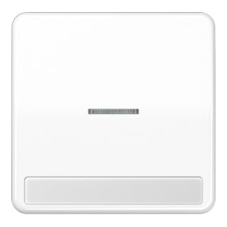 Jung Wippe Licht./Schriftf.aws für Taster CD 590 NAKO5 WW