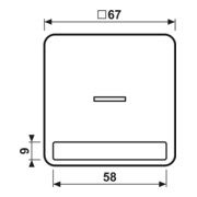 Jung Wippe Licht./Schriftf.aws für Taster CD 590 NAKO5 WW-4