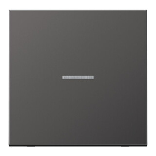 Jung Wippe Lichtleiter AL2990KO5D Aluminium dark matt IP44