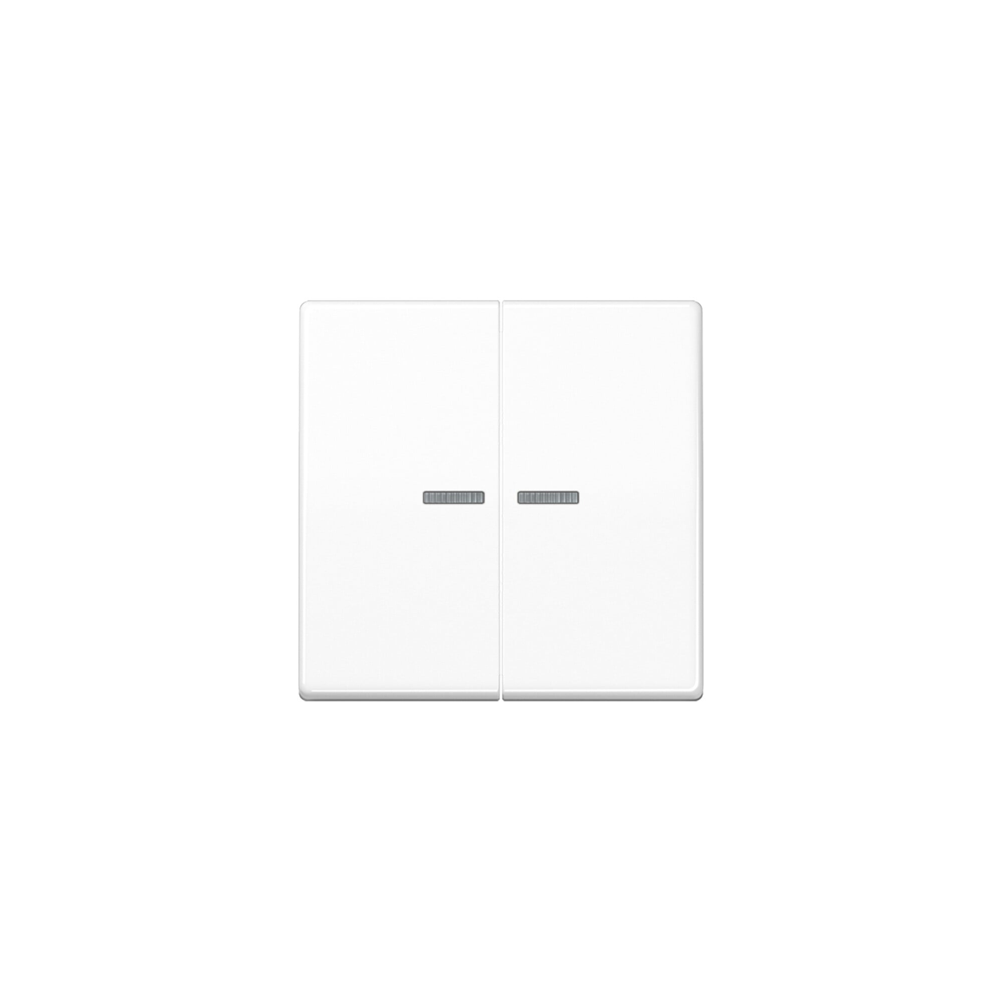Jung Wippe Lichtleiter aws für Taster AS 591-5 KO5 WW