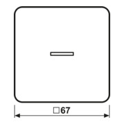Jung Wippe Lichtleiter aws für Taster CD 590 KO5 WW-4