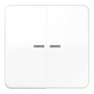 Jung Wippe Lichtleiter aws für Taster CD 595 KO5 WW
