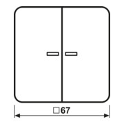 Jung Wippe Lichtleiter aws für Taster CD 595 KO5 WW-3