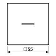Jung Wippe mit Linse anthrazit matt A 590 BF KO5 ANM-4