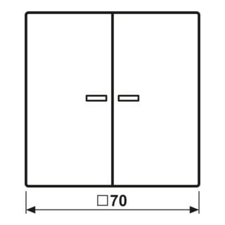 Jung Wippe S-Taster LS 102 KO5P WW Pfeile