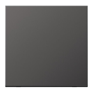 Jung Wippe Schalter/Taster AL2990D Aluminium dark